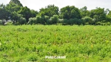 For Sale Tanah Eksklusif di Karawang Timur, Karawang, LT 6500m²