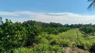 Promo Tanah Strategis di Bengkayang, Bengkayang, Harga 2,48 Miliar