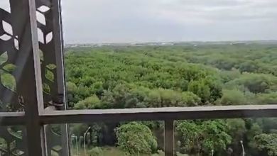 Kesempatan Apartemen Siap Huni di Pantai Indah Kapuk, Jakarta Utara, 1 KT