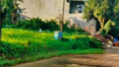 Tanah Elit Dijual di Cibubur, Bogor, Harga 2,7 Miliar