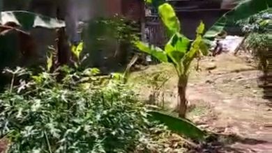 Tanah Elit Dijual di Cibubur, Bogor, Harga 2,54 Miliar