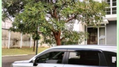 Dijual Rumah Nyaman di Bekasi Kota, Bekasi - LT 60m²