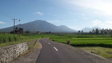 Tanah Dekat Komersil Kawasan Penebel, Cocok untuk Mendirikan Usaha