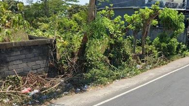 Kavling dengan Nilai Terjangkau Kawasan Pecatu Badung