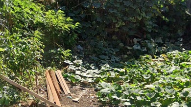 Promo Tanah Harga Ekonomis di Pecatu, Badung