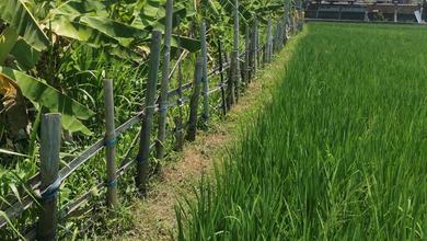 Sewa Tanah Siap Huni di Seminyak, Badung