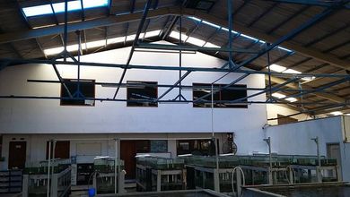 dijual cepat Gudang  plus kantor di RawleleKalideres Jakarta Barat