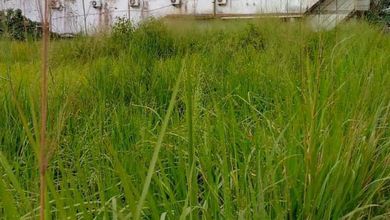 Tanah Elit Dijual di Tigaraksa, Tangerang, Harga 65 Triliun