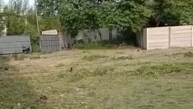 Tanah Elit Dijual di Cikupa, Tangerang, Harga 13,7 Miliar