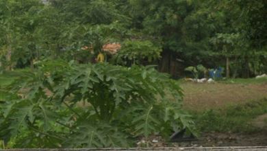 For Sale Tanah Premium di Cimone, Tangerang, LT 17000m²