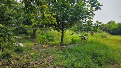 Tanah Komersial Elit Disewakan di Kawasan Cipondoh, Harga 2,4 Triliun