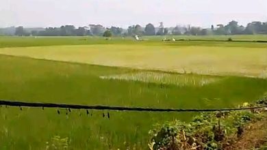 Dijual Tanah Eksklusif di Cikande, Serang, LT 2000000m²