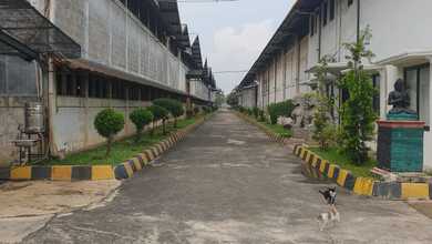 Dijual Murah Bu Pabrik Di Pasar Kemis Tangerang