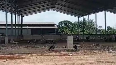 Disewakan Gudang Baru 5 Gandeng Di Sepatan Tangerang