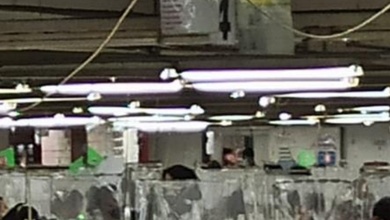 Selagi Ada Buat Yang Serius Nego Sampai Jadi