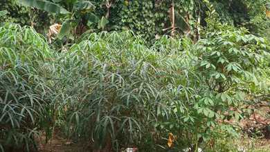 For Sale Tanah Premium di Bekasi Timur, Bekasi, LT 4600m²