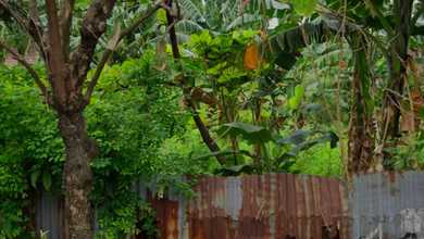 Kesempatan Tanah Strategis di Jaka Sampurna, Bekasi, Harga 1,5 Miliar