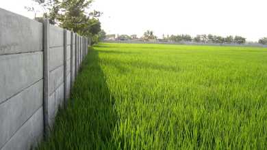 Investasi Tanah Murah di Cabang Bungin, Bekasi, Luas 40m²