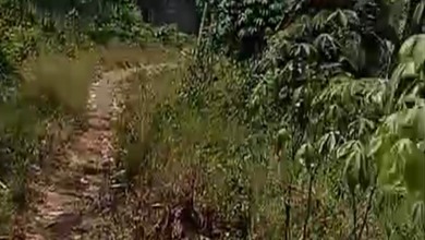 Promo Tanah Strategis di Legok, Tangerang, Harga 1,5 Miliar