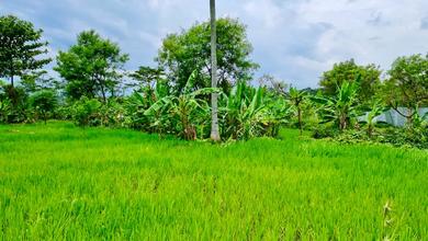 Tanah Elit Dijual di Cijeruk, Bogor, Harga 9 Miliar