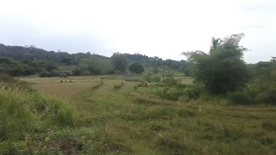 Jual Tanah Lokasi Strategis, Luas 42000 m2