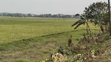 Kavling Prestisius Dijual di Balaraja, Tangerang, Harga 550 Triliun