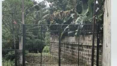 Tanah Elit Dijual di Cilandak, Jakarta Selatan, Harga 80,7 Miliar