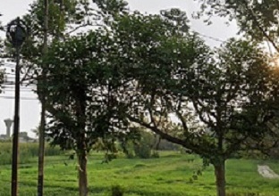 Dijual Tanah Eksklusif di Tangerang, Tangerang, LT 14756m²