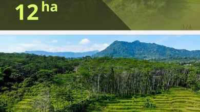 Tanah Elit Dijual di Bogor Timur, Bogor, Harga 36 Miliar