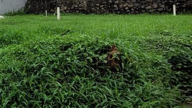 For Sale Tanah Premium di Bintaro, Tangerang Selatan, LT 189m²