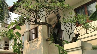 Rumah Area Luxury Bintaro, Tangerang Selatan - Harga Terbaik 14,5 Miliar