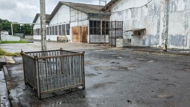 Dijual Cepat Harga Murah Ex Pabrik Perikanan Di Cilacap Selatan Luas Tanah Hampir 5ha Kapasitas 200 - 250 Ton