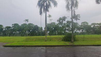 Jual Terjangkau Tanah 1403 m2 Area Strategis