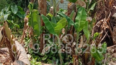 Tanah Favorit di Area Rorotan, Jakarta Utara, LT 360m²