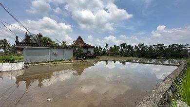 Investasi Tanah Murah di Tegallalang, Gianyar, Luas 1062m²