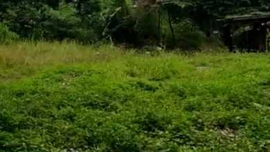 Tanah Elit Dijual di Curug, Tangerang, Harga 798 Miliar