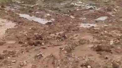 For Sale Tanah Eksklusif di Panongan, Tangerang, LT 20000m²