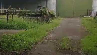 Gudang luas tanah 10.750m² di jl. Curug Bitung kab. Lebak Tangerang