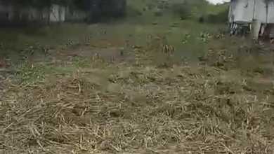 Tanah Elit Dijual di Tangerang Kota, Tangerang, Harga 5,13 Miliar