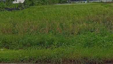 Tanah Elit Dijual di Sepatan, Tangerang, Harga 5,25 Miliar