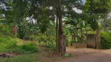 Disewakan Tanah Premium di Neglasari, Tangerang, LT 70000m²