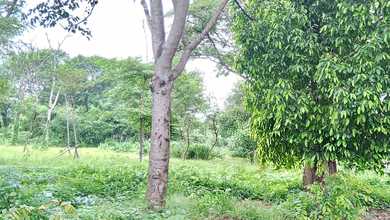 Tanah Elit Dijual di Penjaringan, Jakarta Utara, Harga 65,1 Miliar