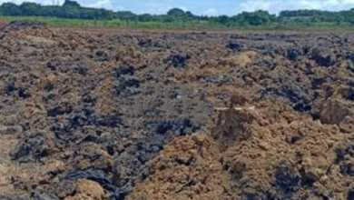 Tanah Harga Hemat di Pasar Kemis, Tangerang, Harga 2,7 Juta