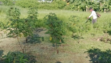 Dijual Tanah Eksklusif di Kamal, Jakarta Utara, LT 5810m²