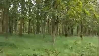 Tanah Elit Dijual di Tigaraksa, Tangerang, Harga 25,6 Miliar