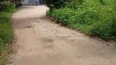 Gudang Luas Tanah 2000M² di Jl. Kalibaru Kec. Pakuhaji Kab. Tangerang