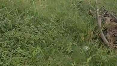 For Sale Tanah Premium di Kosambi, Tangerang, LT 3000m²