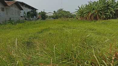 Tanah Komersial Elit Disewakan di Kawasan Kamal, Harga 2,7 Miliar