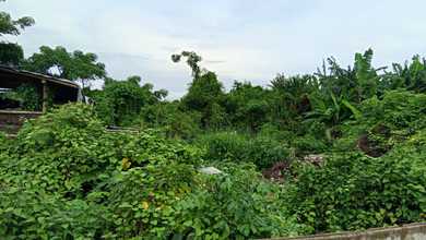 Kavling Prestisius Dijual di Kosambi, Tangerang, Harga 6,9 Miliar