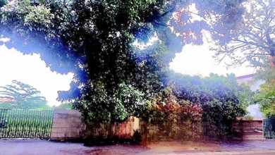 Kavling Prestisius Dijual di Jagakarsa, Jakarta Selatan, Harga 20,3 Miliar